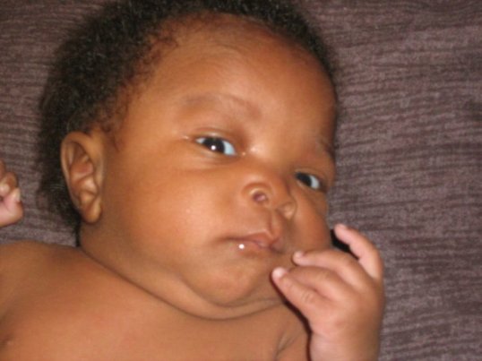 ara's baby Ara's baby Maleeq