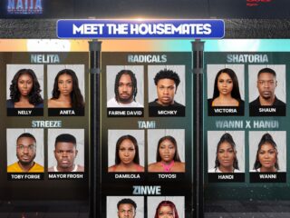 Age, hobbies, ambition; here's all you need to know about BBNaija No Loose Guard Housemates